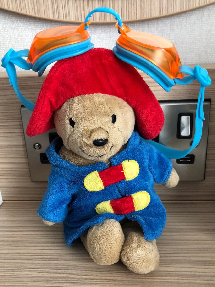 Paddington Bear Goggles