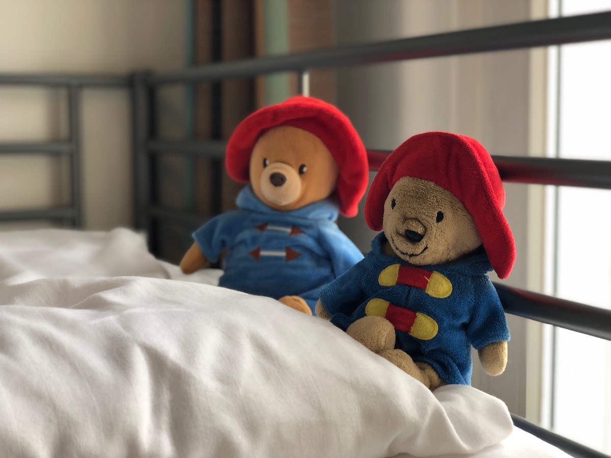 paddington Bear 2 traveling
